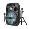 1100W Bluetooth Party Speaker with Mic & Stand - Thumbnail Image 1