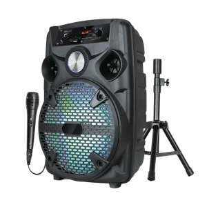 1100W Bluetooth Party Speaker with Mic & Stand